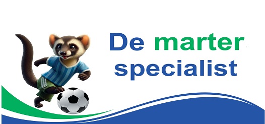 De Dakgootspecialist Logo